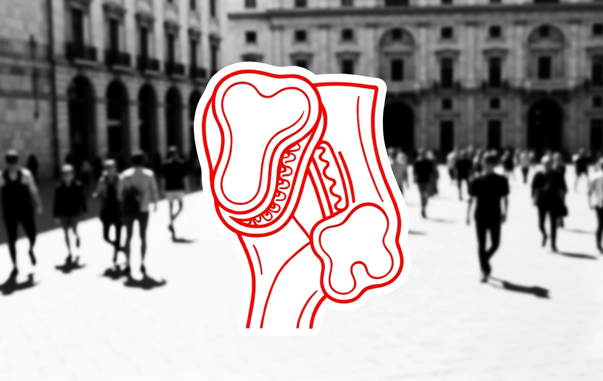 Perfil humano con esquemática de anatomía auditiva